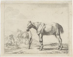 Cheval attaché à un poteau, vers la gauche