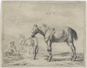 Cheval attaché à un poteau, vers la gauche