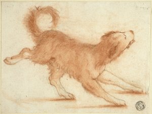 Un chien qui grogne, prêt à bondir - Dirk Valkenburg
