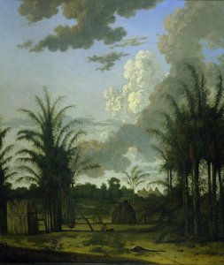 Plantation au Suriname