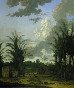 Plantation au Suriname
