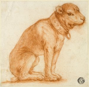 Chien assis avec collier