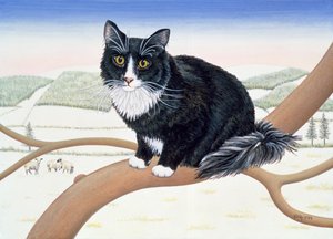 Branches nues, No.2, 1994