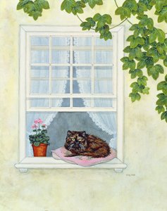 Le chat de Pam - Ditz