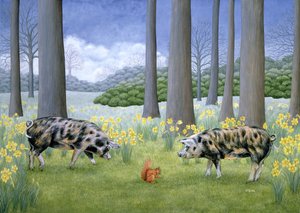 Cochon au milieu - Ditz