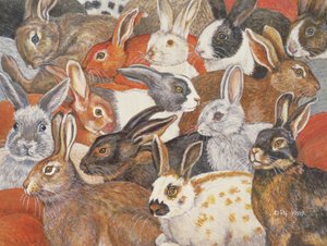 Lapin-Étalé