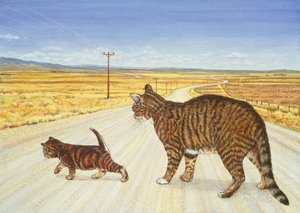Traversée de Saratoga, 1995