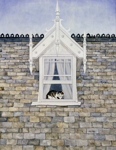 Chat de St. Helier Dormer - Ditz
