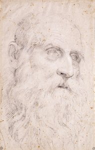 La Tête de Saint Jérôme - Domenichino