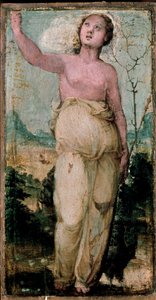 Figure féminine. - Domenico Beccafumi