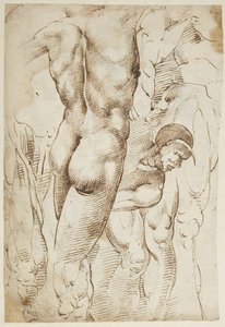 Études de jambes et de nus masculins - Domenico Beccafumi