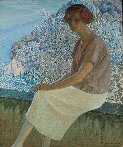 Calma argentea. Portrait d