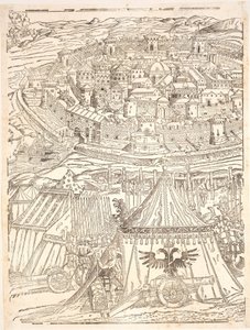 Prise de Goleta à Tunis par Charles V - Domenico dei Franceschi