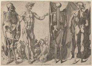Squelettes et Écorchés, c. 1540-1545 - Domenico del Barbiere