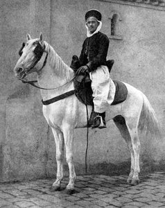 Cavalier berbère de l