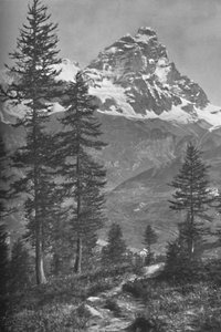 Le Cervin du côté italien, Forêt de Brueil, 1917