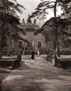 Le Temple Biyun - Donald Mennie