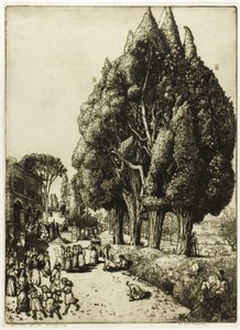 Bosquet de cyprès - Donald Shaw MacLaughlan