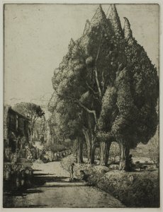 Le Bosquet de cyprès - Donald Shaw MacLaughlan