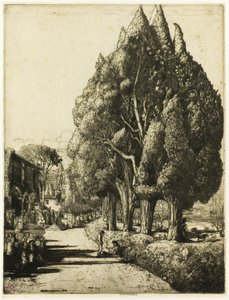 Le bosquet de cyprès - Donald Shaw MacLaughlan