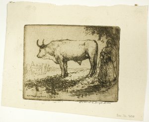 Le bœuf blanc - Donald Shaw MacLaughlan