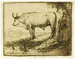 Le bœuf blanc - Donald Shaw MacLaughlan