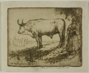 Le Bœuf blanc - Donald Shaw MacLaughlan