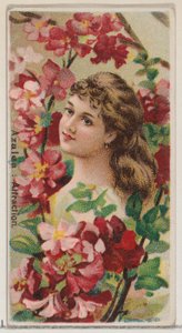 Azalée : Attraction, de la série Beautés florales et langage des fleurs N75 pour Duke..., 1892 - Donaldson Brothers