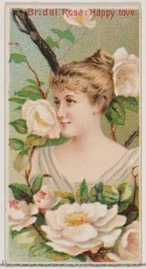 Rose nuptiale : Amour heureux, de la série Beautés florales et langage des fleurs N75