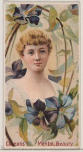 Clématite : Beauté mentale, de la série Beautés florales et langage des fleurs N75