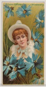 Bleuet : Modestie, de la série Beautés florales et langage des fleurs N75 pour Duk..., 1892