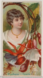 Fuchsia : Goût, de la série Beautés florales et langage des fleurs N75 pour Duke bra..., 1892 - Donaldson Brothers