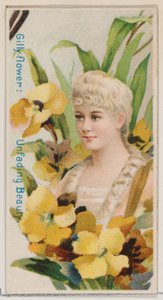 Giroflée : Beauté impérissable, de la série Beautés florales et langage des fleurs N7