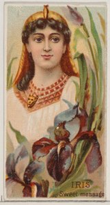 Iris : Message Doux, de la série Beautés Florales et Langage des Fleurs N75 pour Duk..., 1892