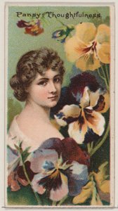 Pensée : Réflexion, de la série Beautés florales et langage des fleurs N75 pour D..., 1892