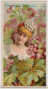 Primevère : Flirtation, de la série Beautés florales et langage des fleurs N75 pour Du..., 1892