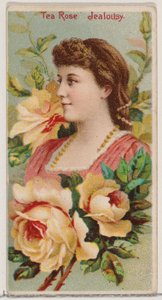 Rose thé : Jalousie, de la série Beautés florales et langage des fleurs N75 pour Duke..., 1892