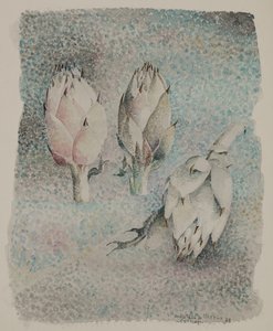 Artichauts - Donatella Merlo