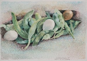 Les haricots de tante Caterina - Donatella Merlo