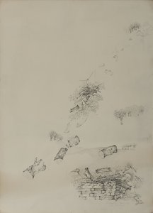La larme - Donatella Merlo