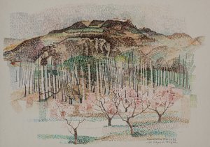 Le vignoble de Vergne - Donatella Merlo