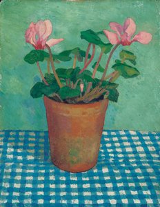 Cyclamen en pot - Dora Carrington
