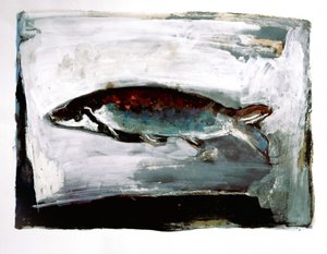 Poissons d