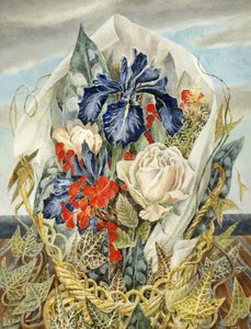 Iris et Rose