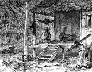 Hutte malaisienne, 19ème siècle - Dosso
