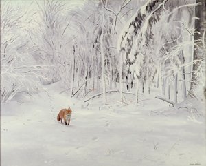 Renard dans la neige profonde