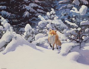 Renard dans la neige profonde avec des sapins