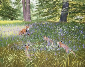 Renards dans les jacinthes