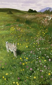 Lièvre dans les fleurs de printemps