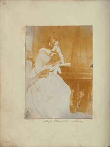 Mlle Brewster